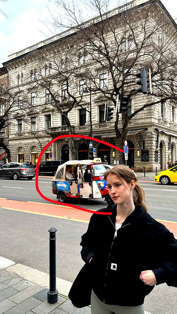 mira.0004 image ~ Altpins