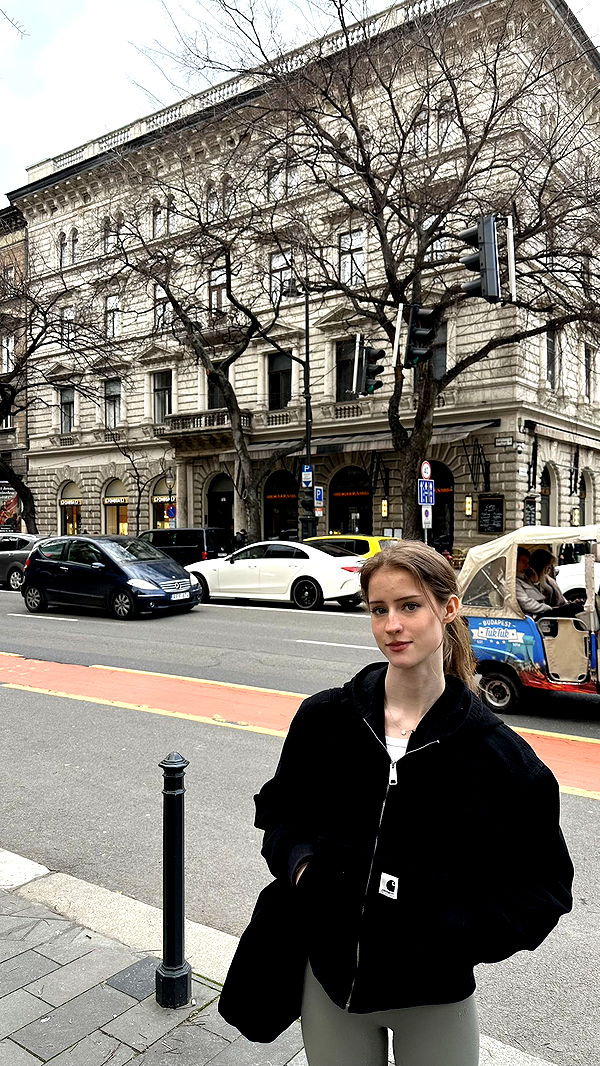 mira.0004 image ~ Altpins