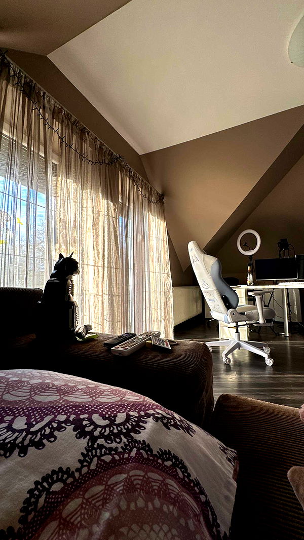 mira.0004 image ~ Altpins