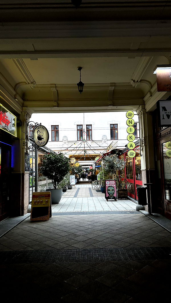 mira.0004 image ~ Altpins