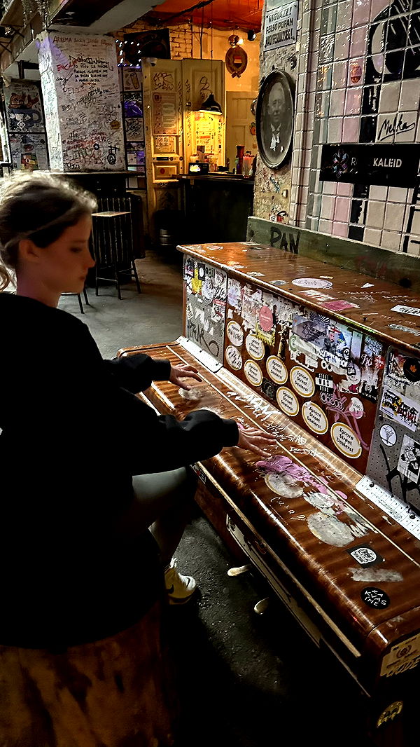 mira.0004 image ~ Altpins