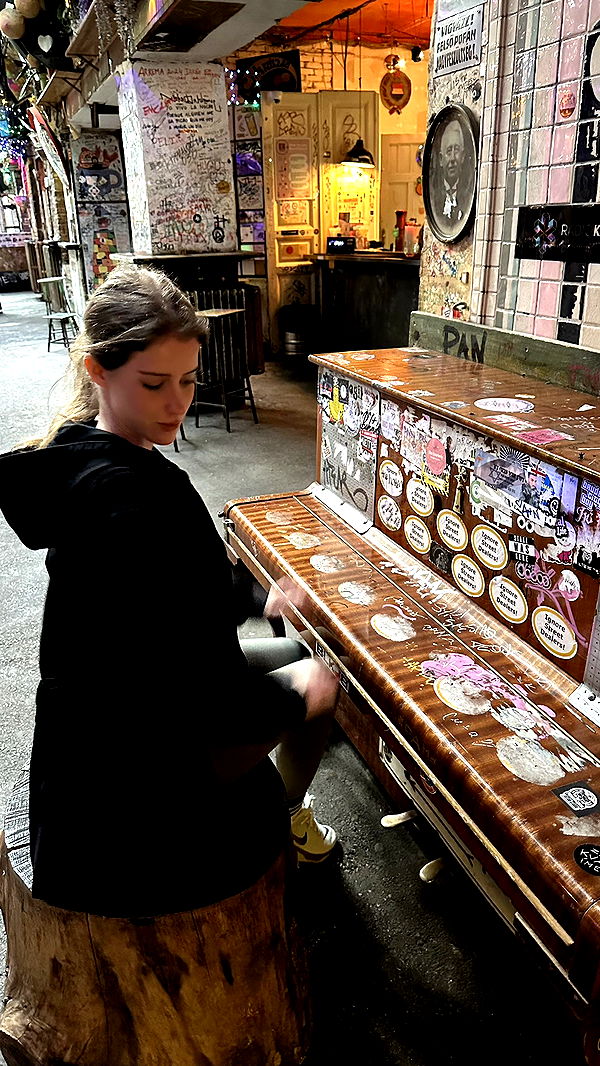 mira.0004 image ~ Altpins