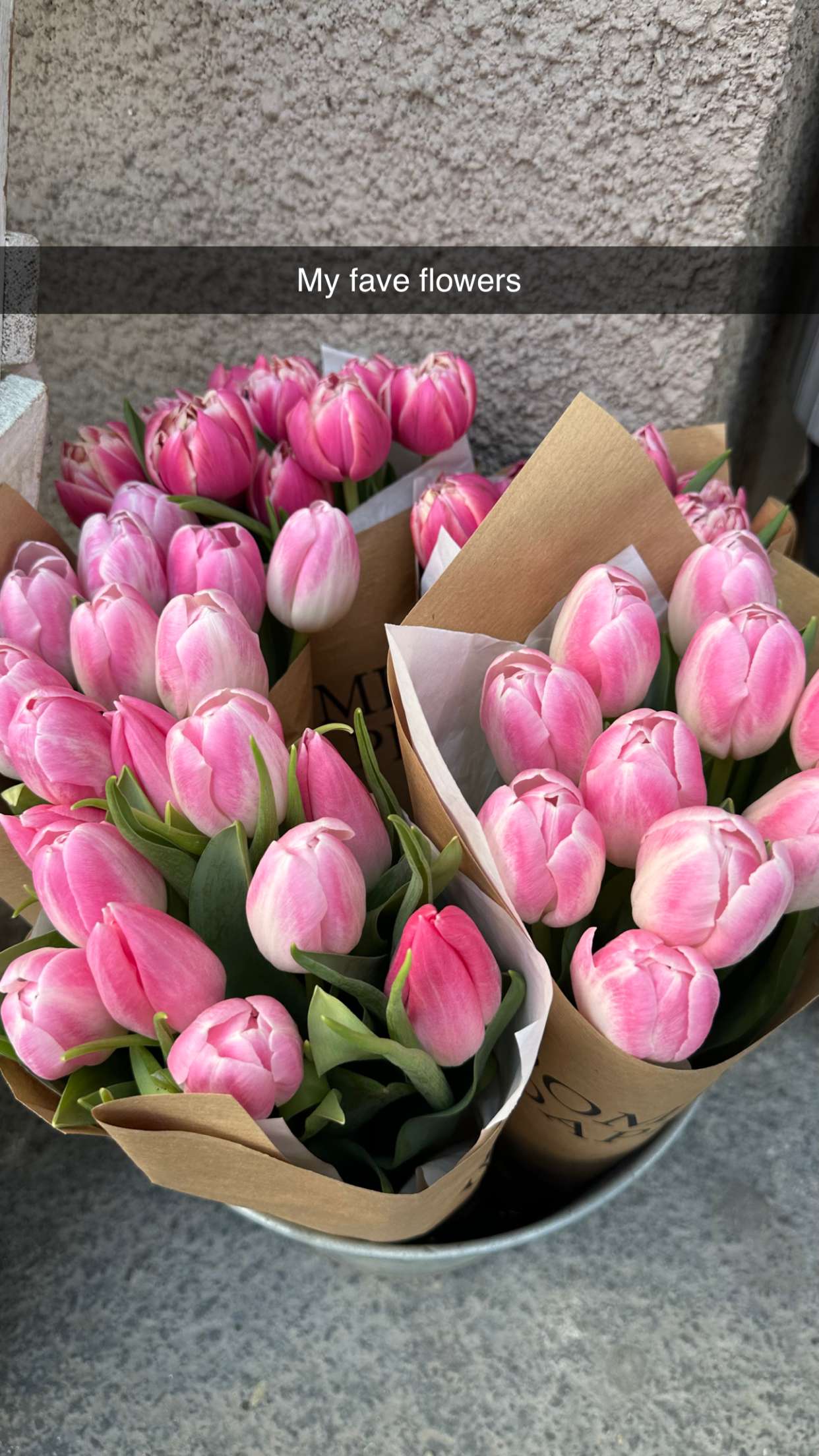 mira.0004 snapchat image archive image