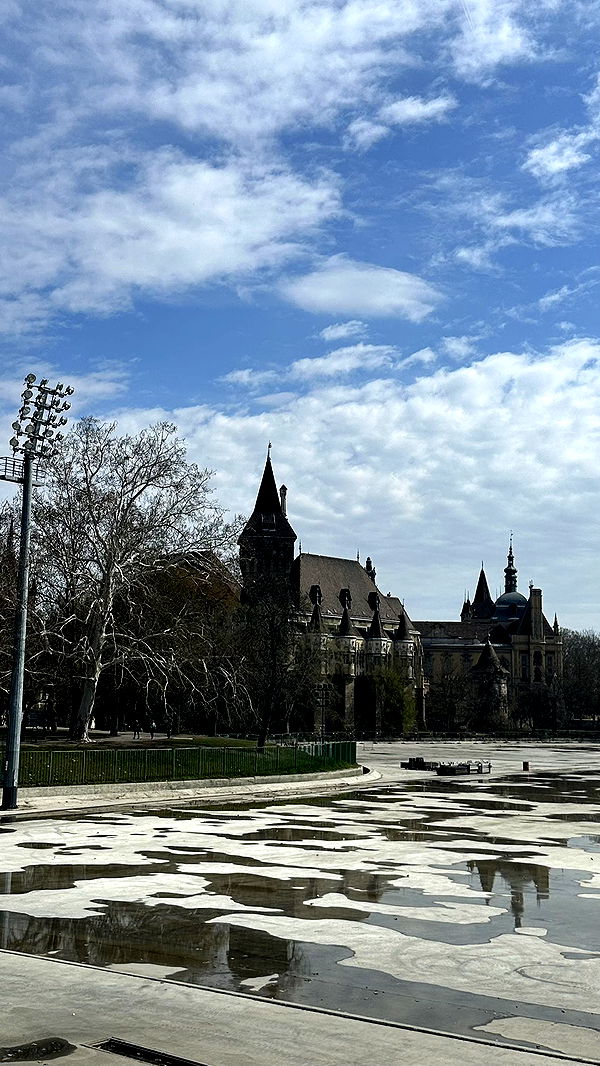 mira.0004 image ~ Altpins