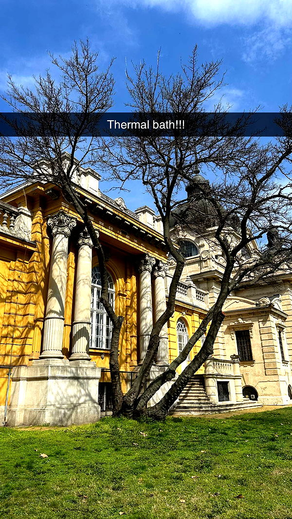 mira.0004 image ~ Altpins