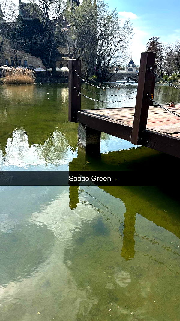 mira.0004 image ~ Altpins