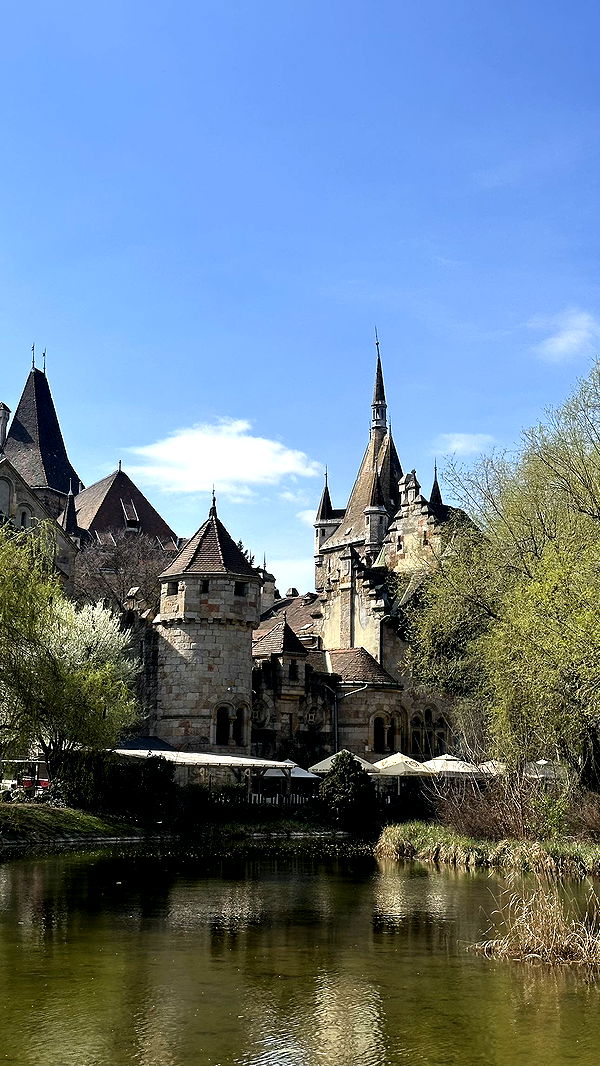 mira.0004 image ~ Altpins