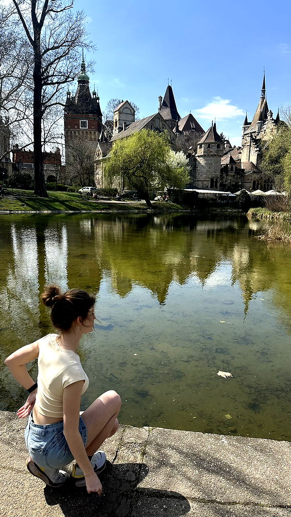 mira.0004 image ~ Altpins