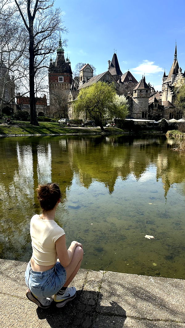 mira.0004 image ~ Altpins