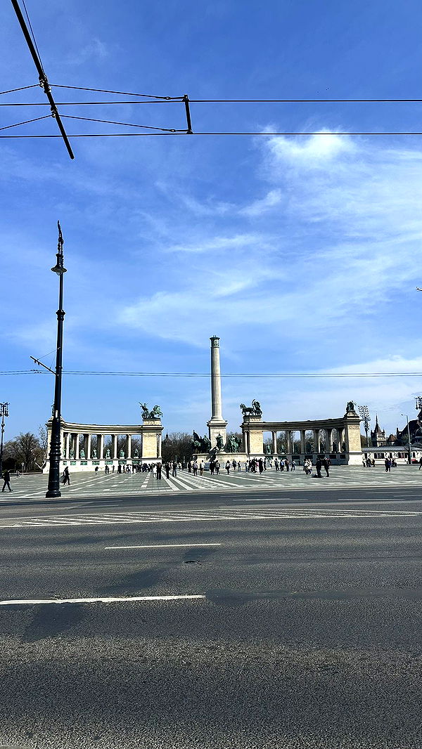 mira.0004 image ~ Altpins