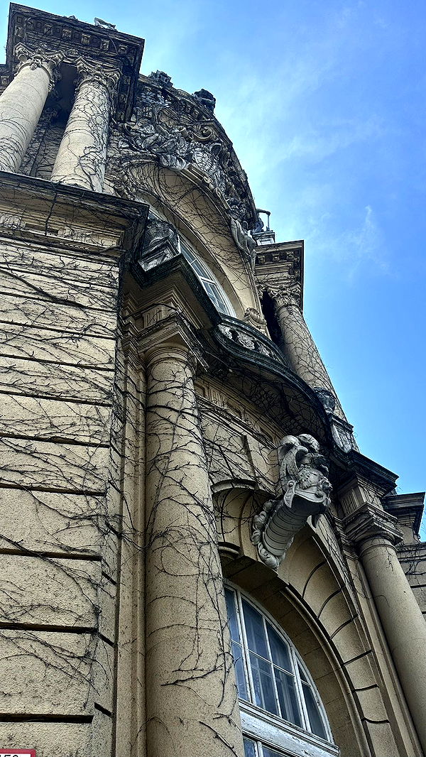 mira.0004 image ~ Altpins