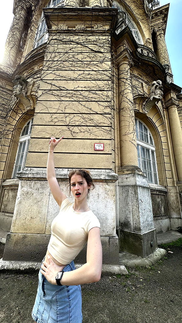 mira.0004 image ~ Altpins