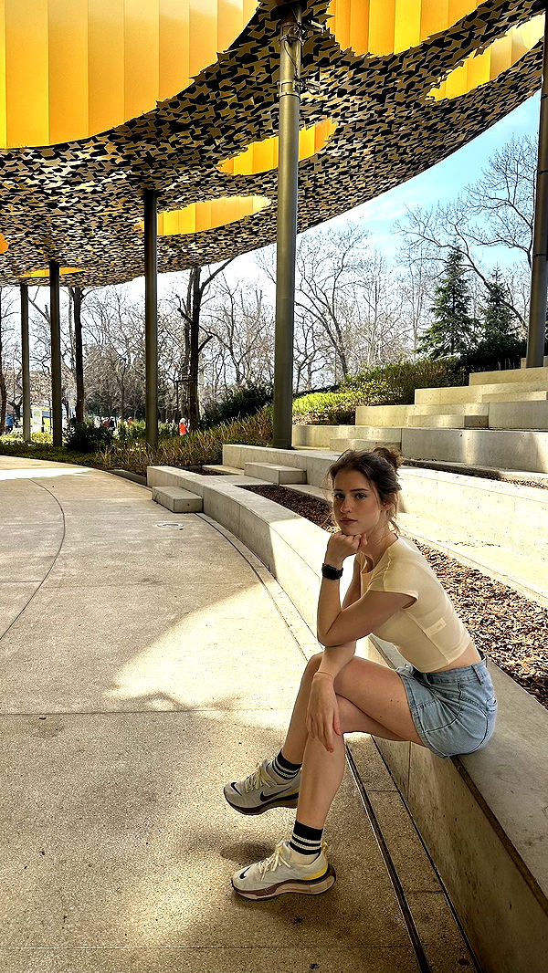 mira.0004 image ~ Altpins