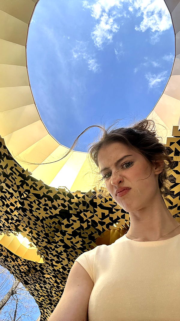 mira.0004 image ~ Altpins