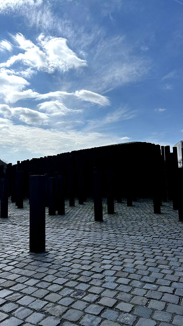 mira.0004 image ~ Altpins