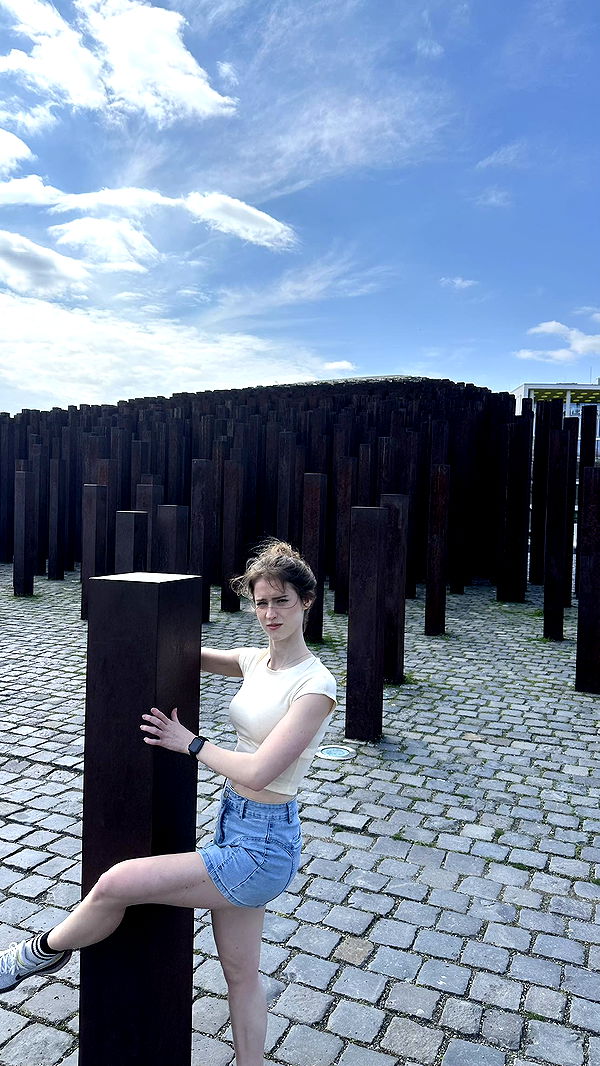 mira.0004 image ~ Altpins