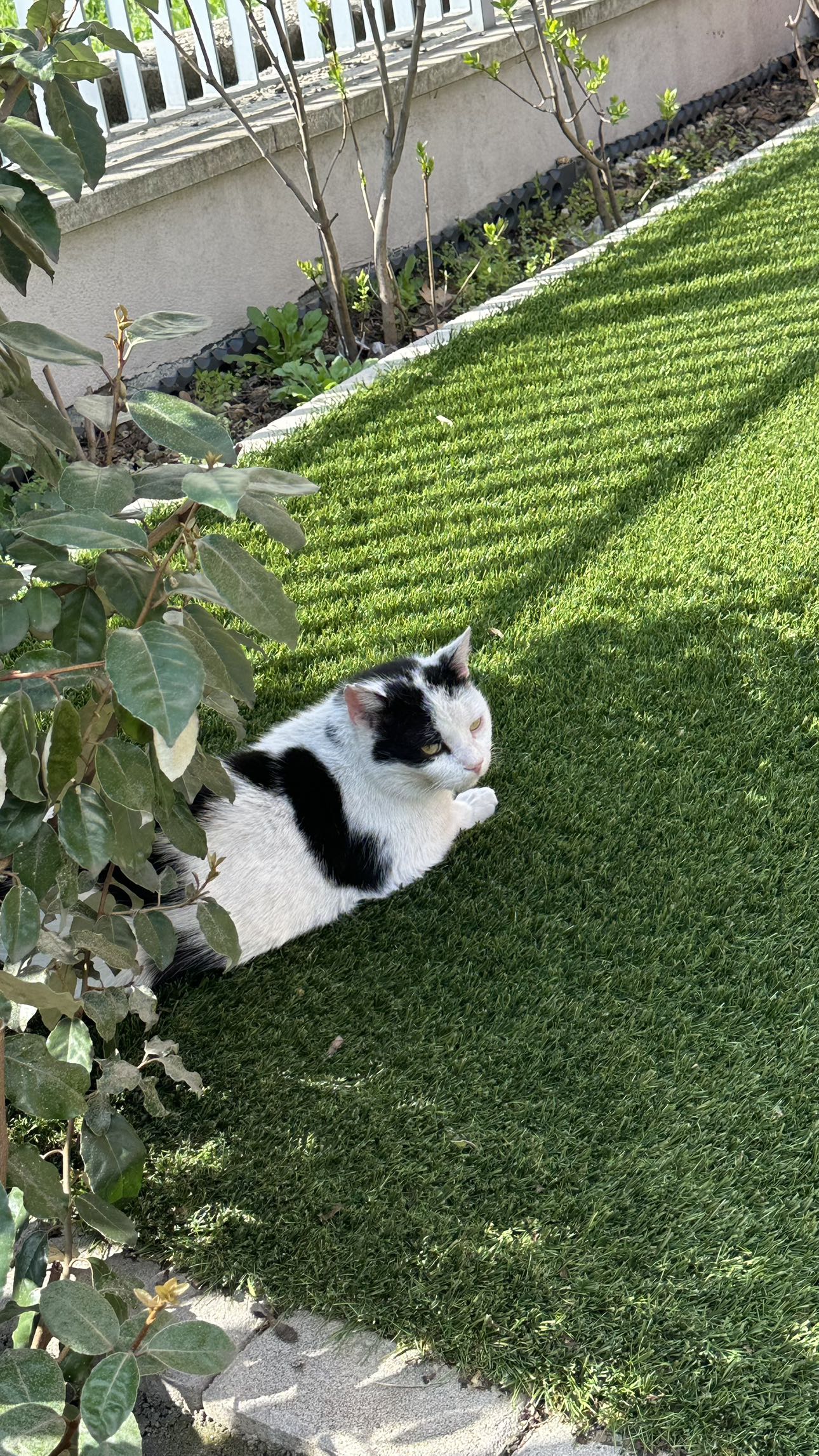 mira.0004 snapchat image archive image