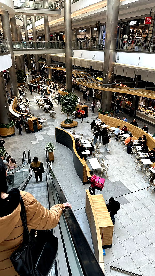 mira.0004 image ~ Altpins