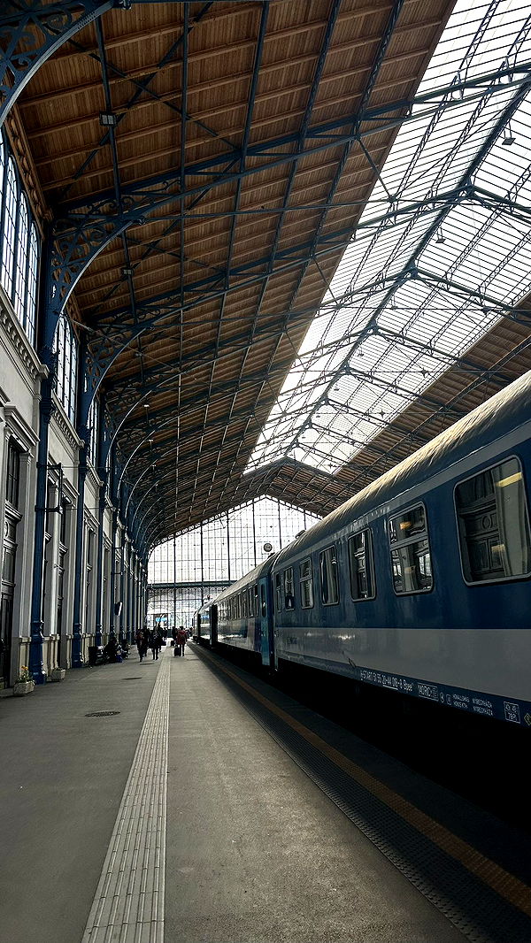 mira.0004 image ~ Altpins