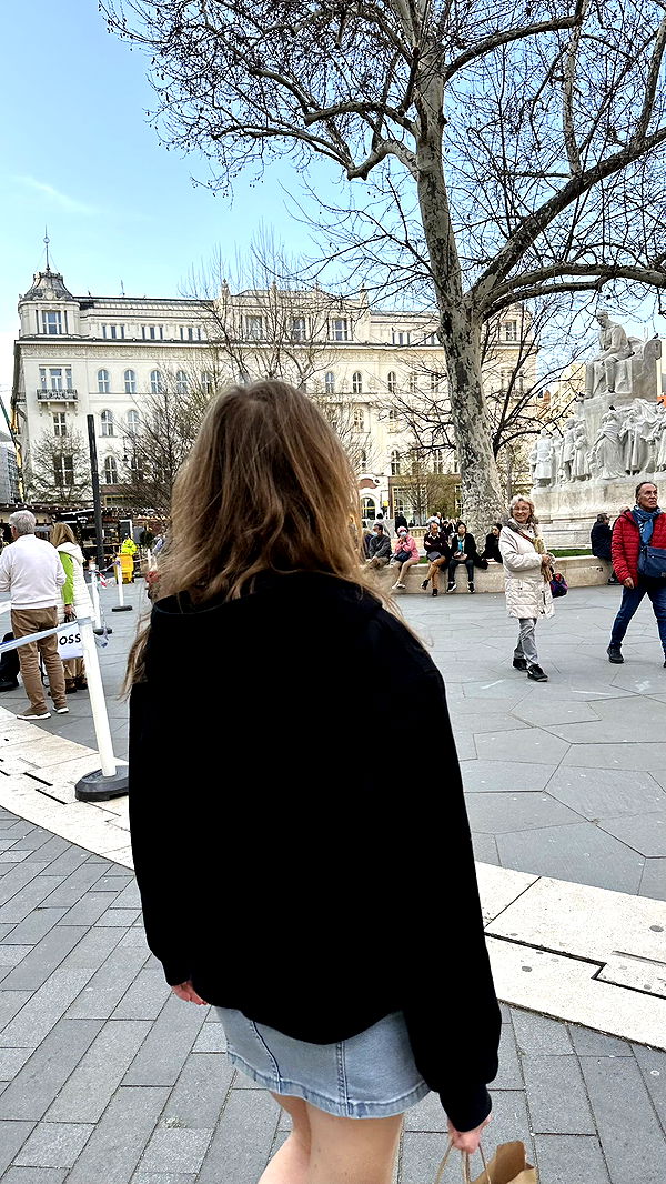 mira.0004 image ~ Altpins