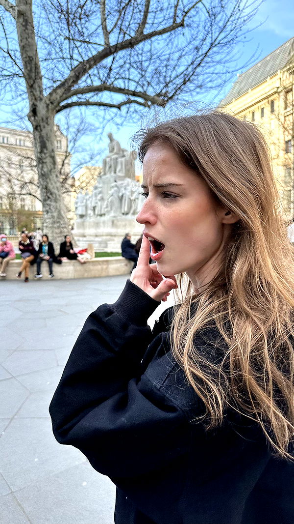 mira.0004 image ~ Altpins