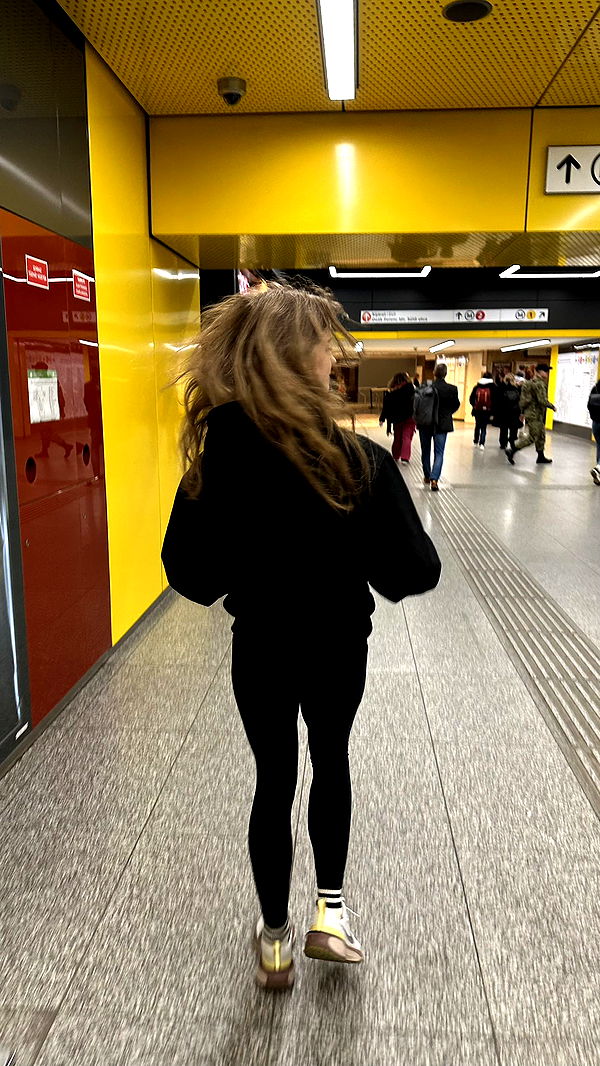 mira.0004 image ~ Altpins