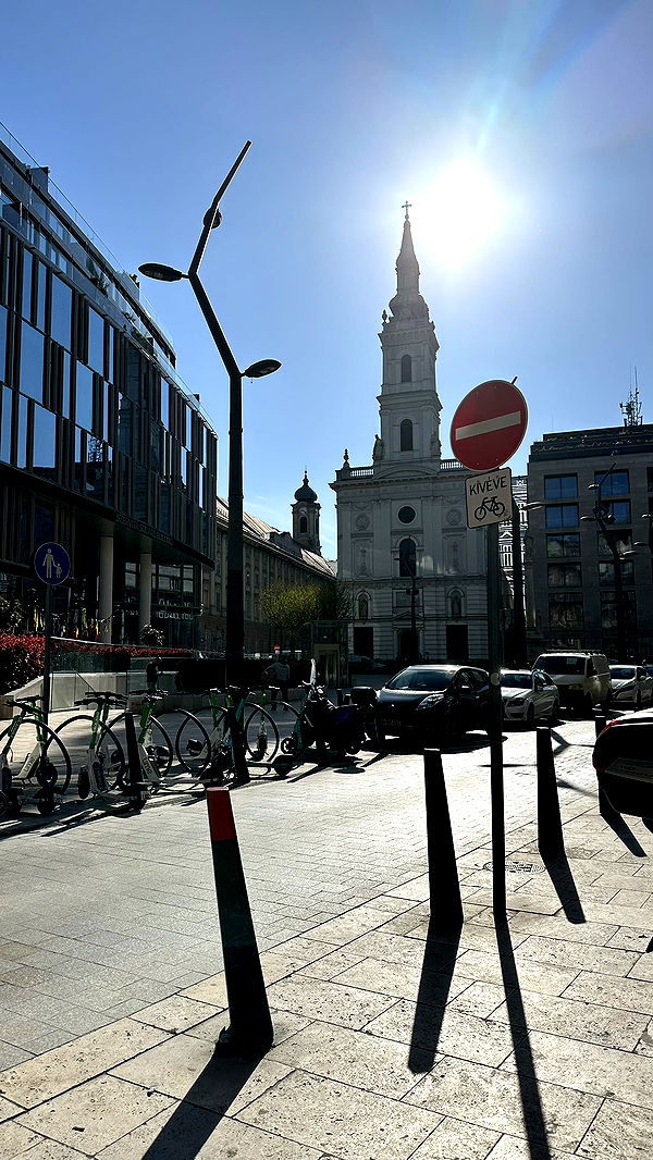 mira.0004 image ~ Altpins