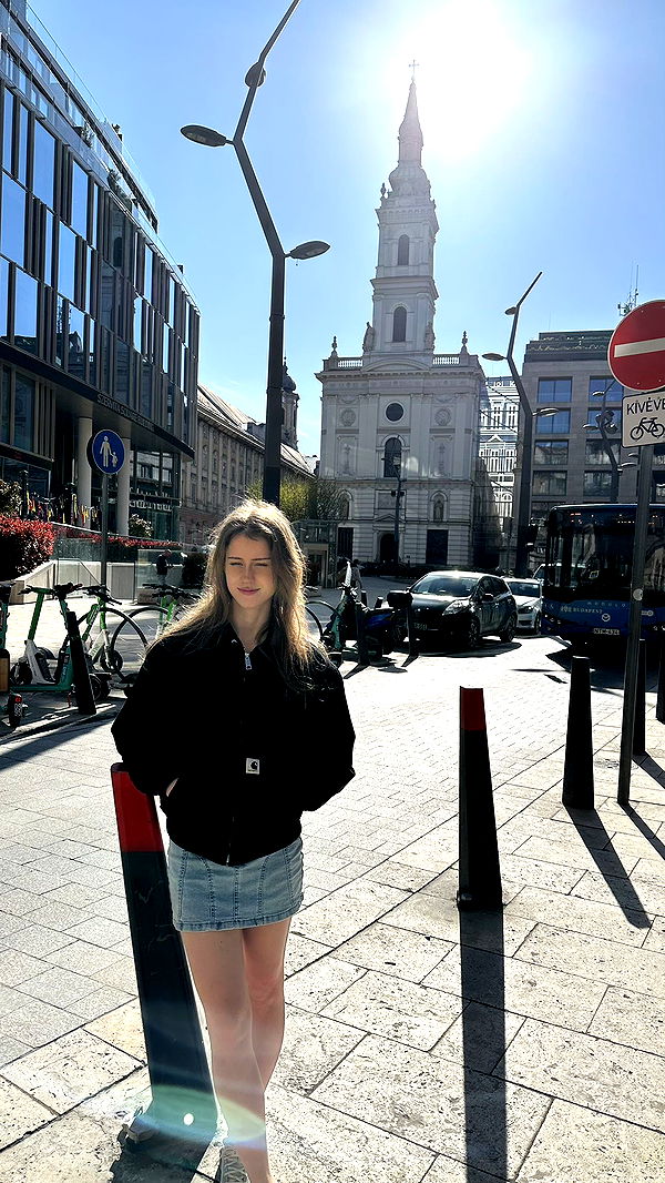 mira.0004 image ~ Altpins