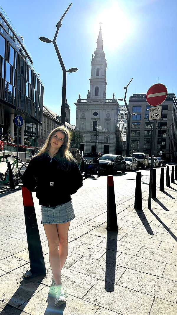 mira.0004 image ~ Altpins