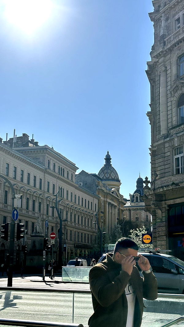 mira.0004 image ~ Altpins