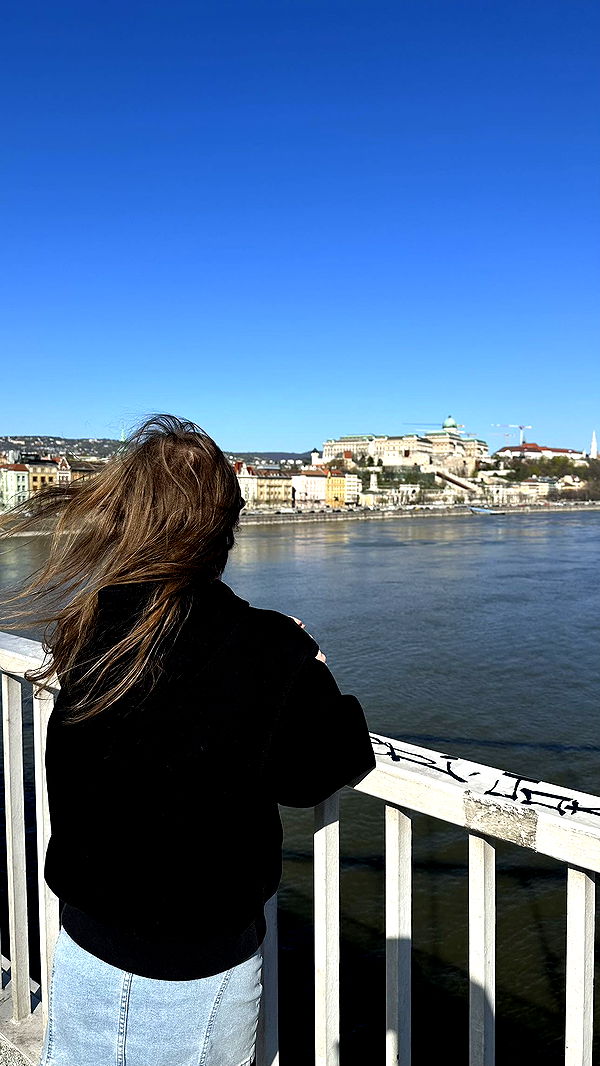 mira.0004 image ~ Altpins