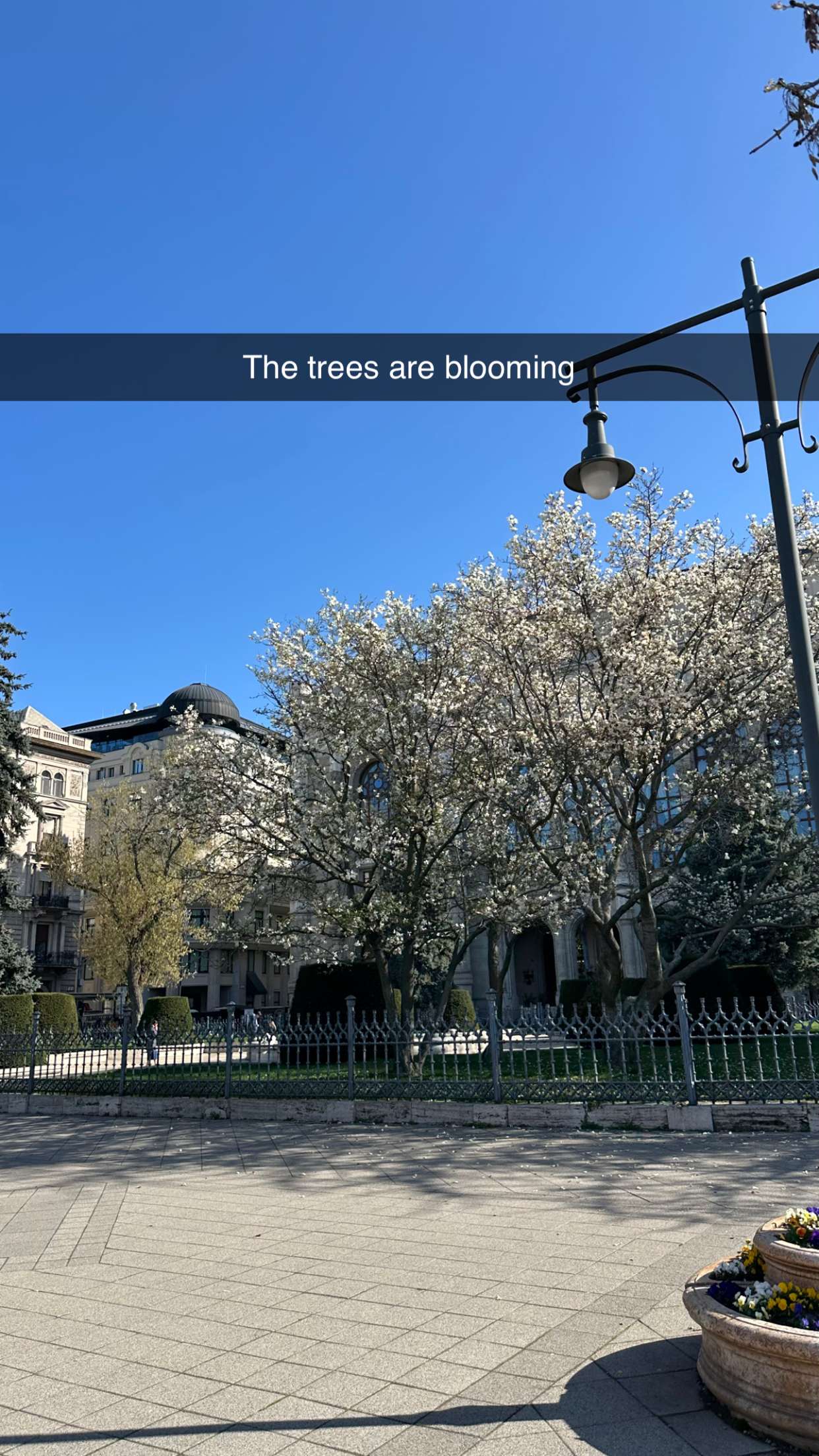 mira.0004 snapchat image archive image