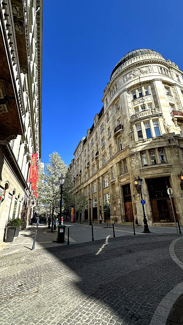 mira.0004 image ~ Altpins