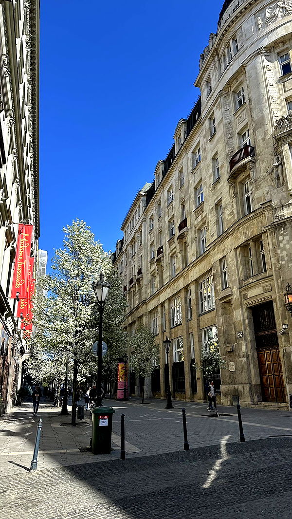 mira.0004 image ~ Altpins