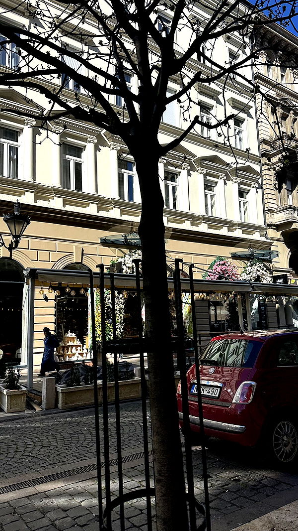 mira.0004 image ~ Altpins