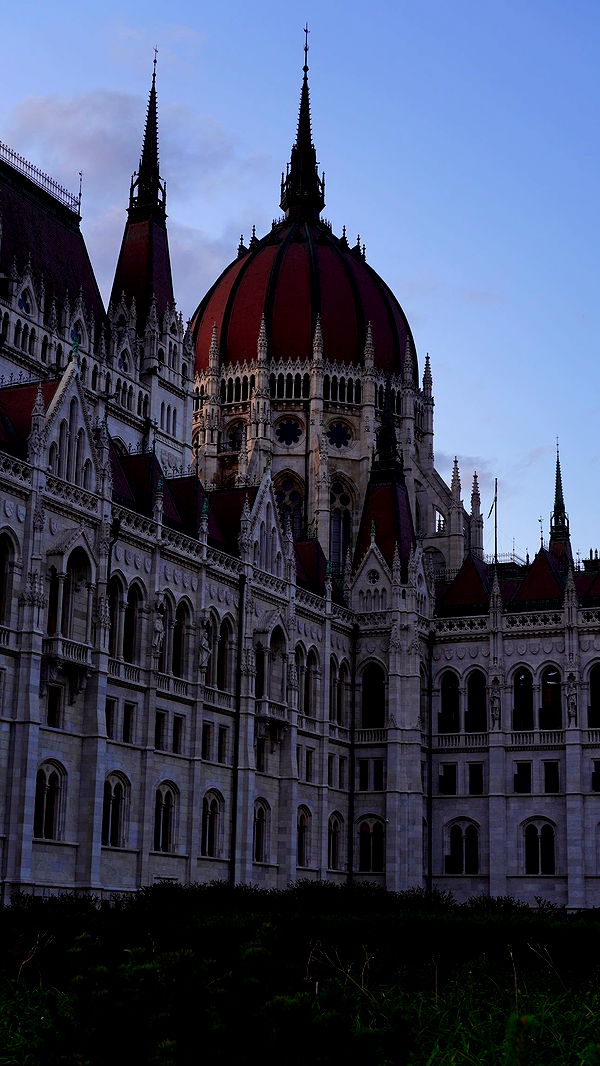 mira.0004 image ~ Altpins