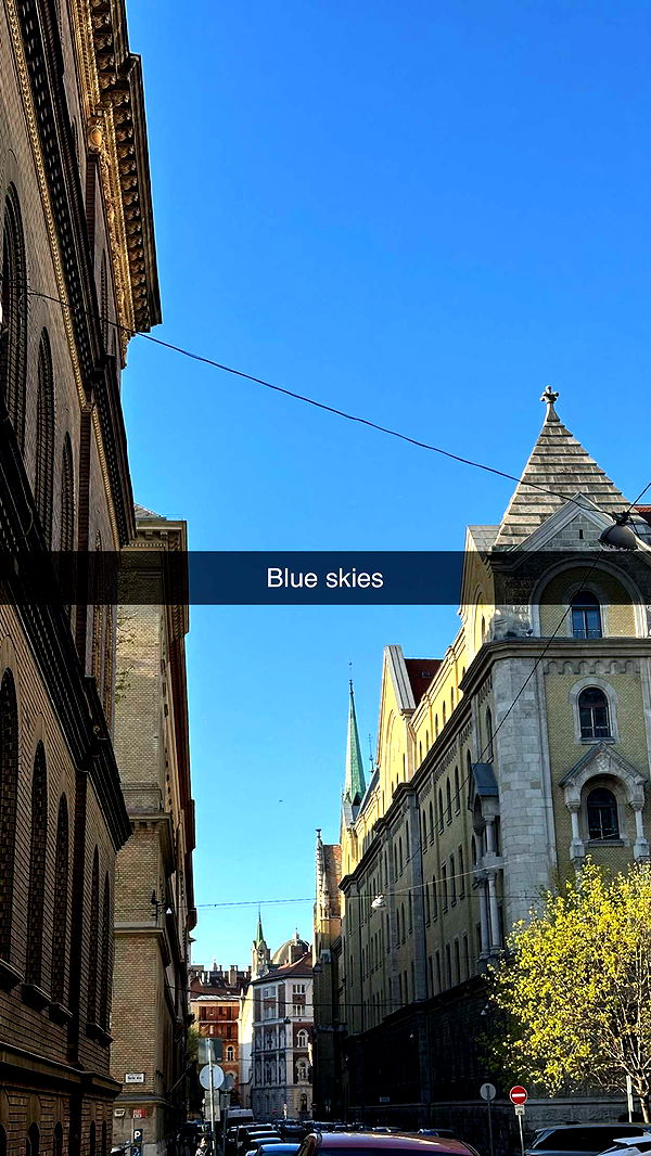 mira.0004 image ~ Altpins