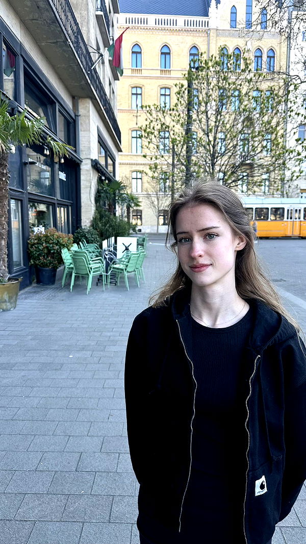 mira.0004 image ~ Altpins