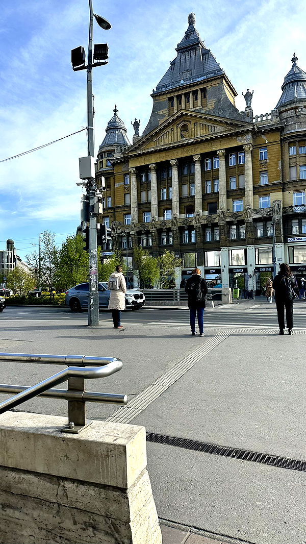 mira.0004 image ~ Altpins