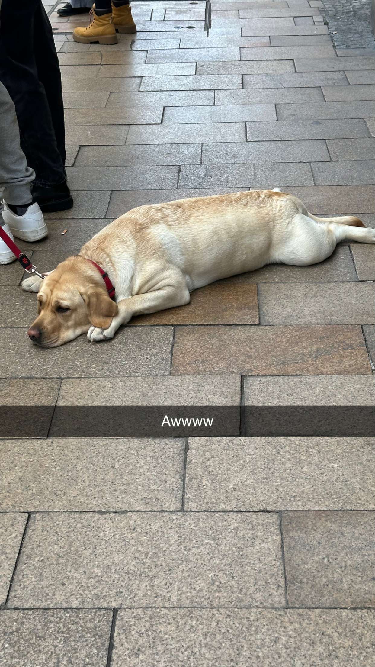 mira.0004 snapchat image archive image