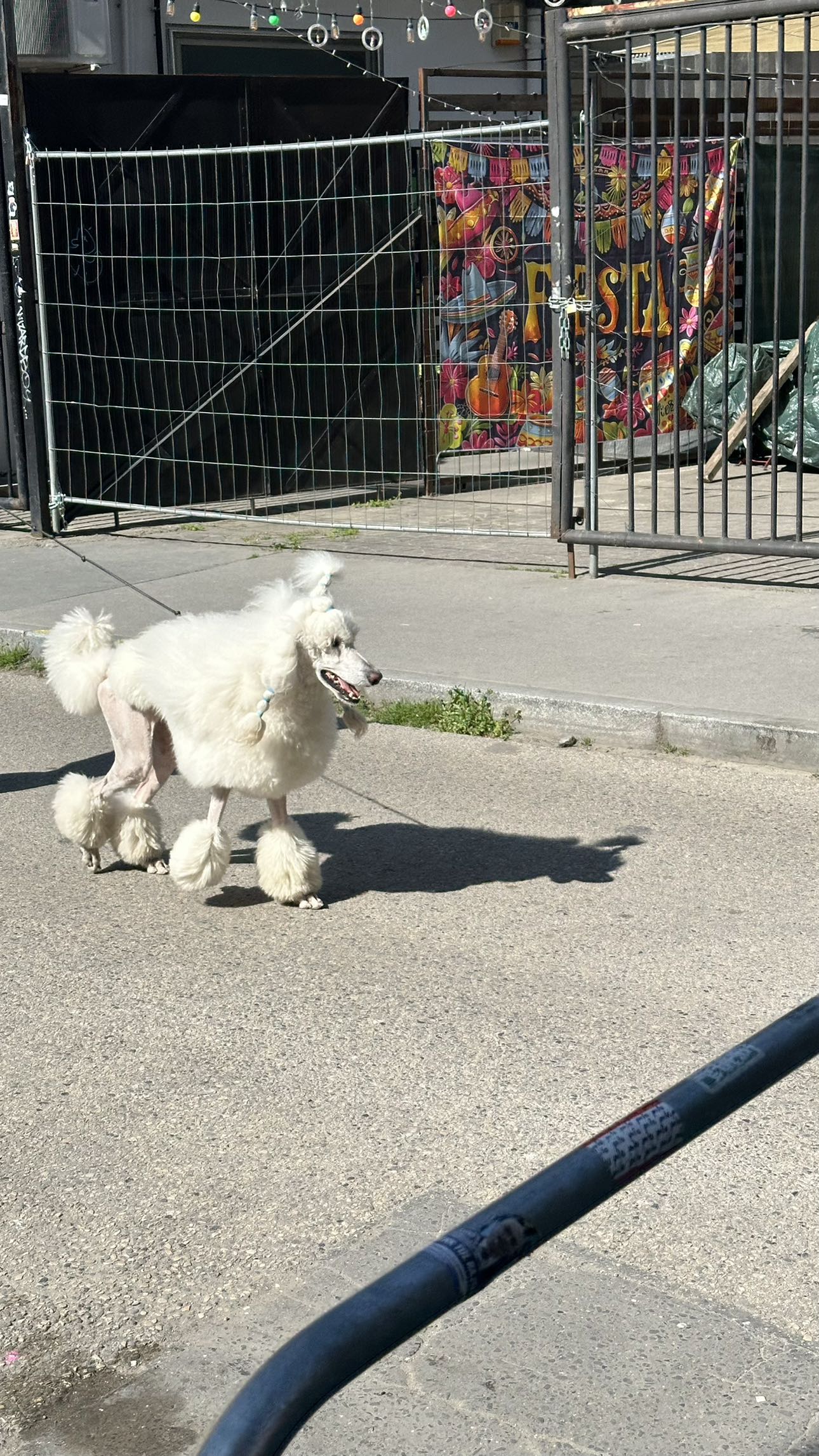 mira.0004 snapchat image archive image