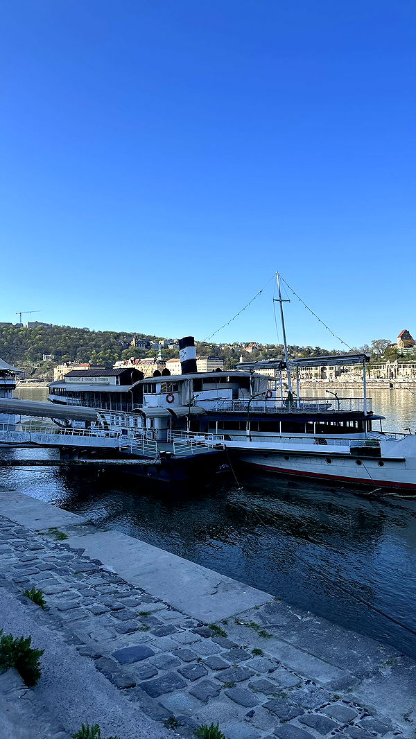 mira.0004 image ~ Altpins