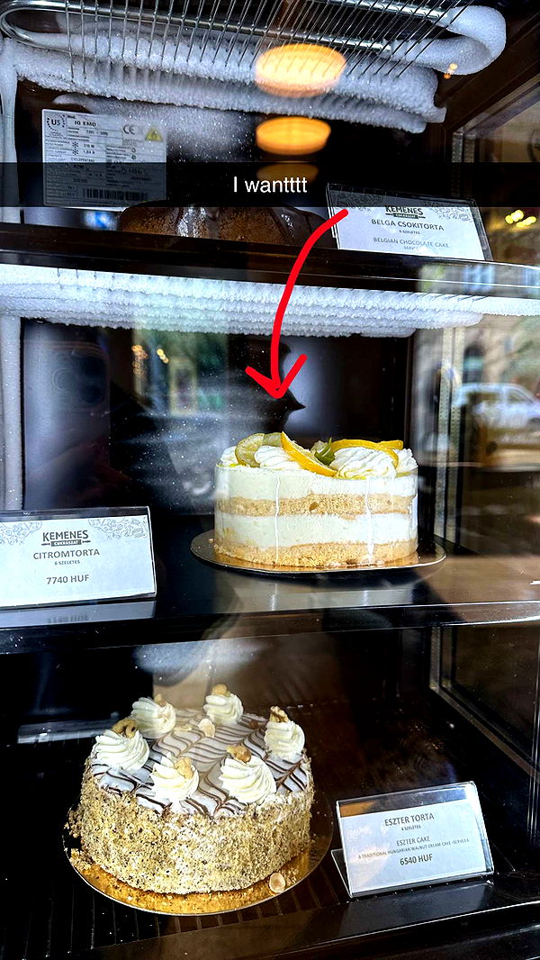 mira.0004 image ~ Altpins