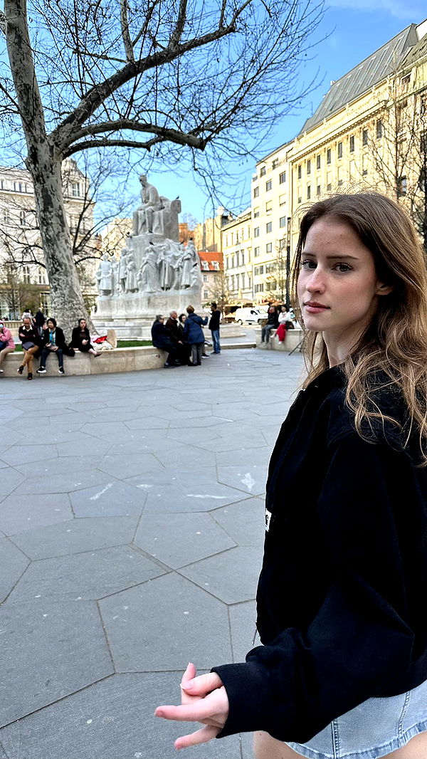 mira.0004 image ~ Altpins