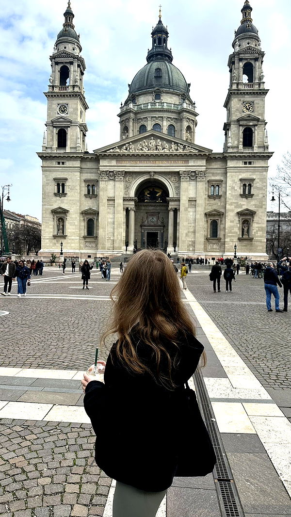 mira.0004 image ~ Altpins