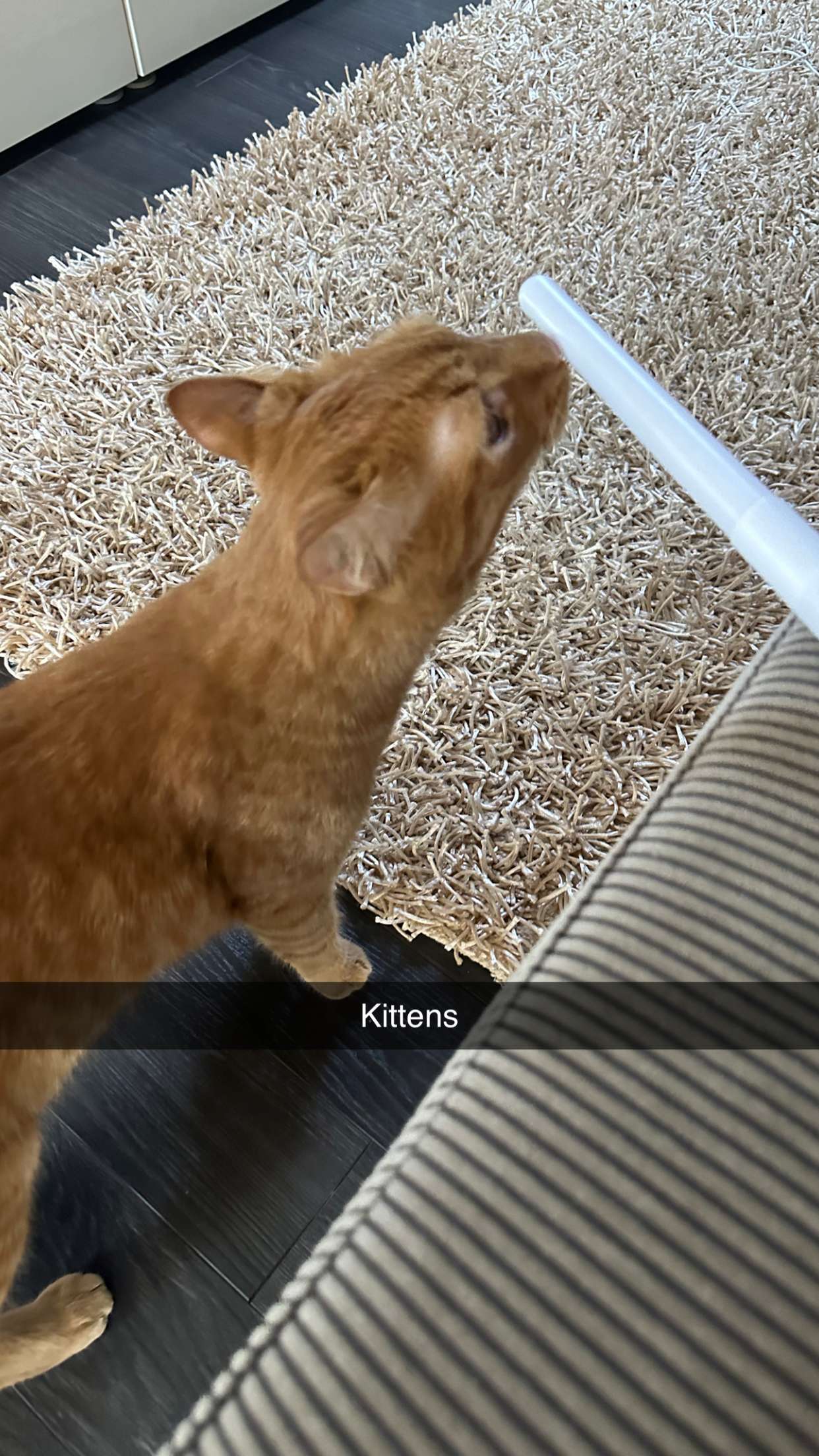 mira.0004 snapchat image archive image