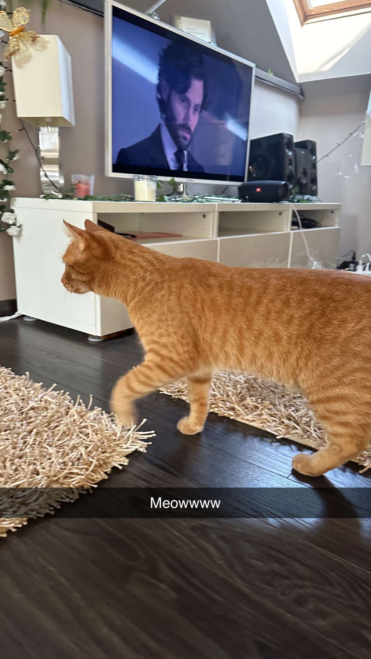 mira.0004 snapchat image archive image