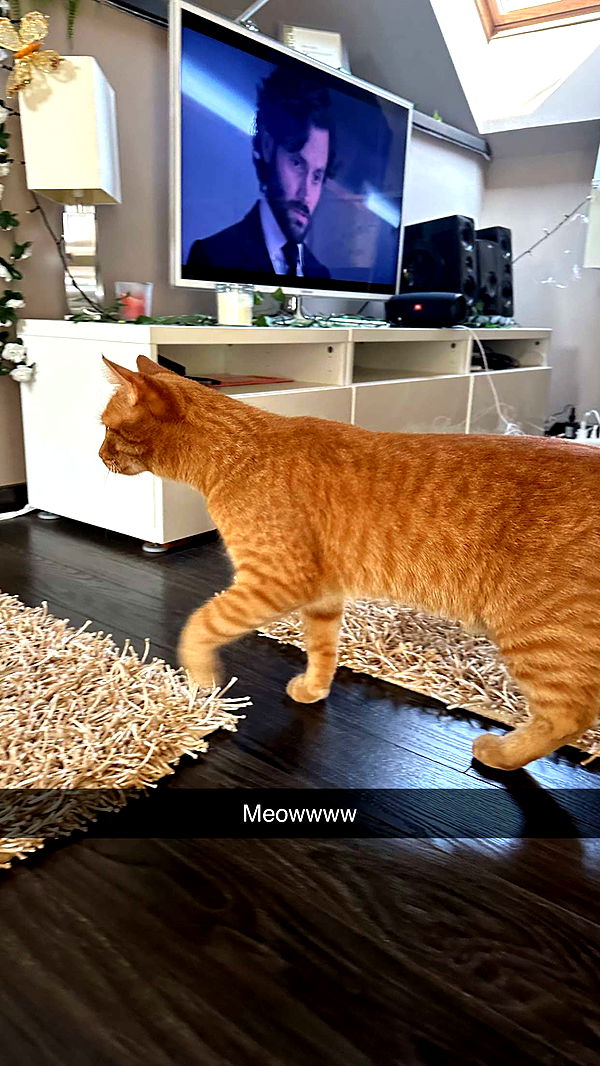 mira.0004 image ~ Altpins