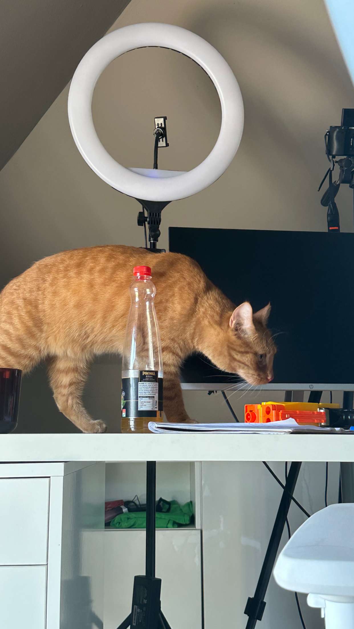 mira.0004 snapchat image archive image