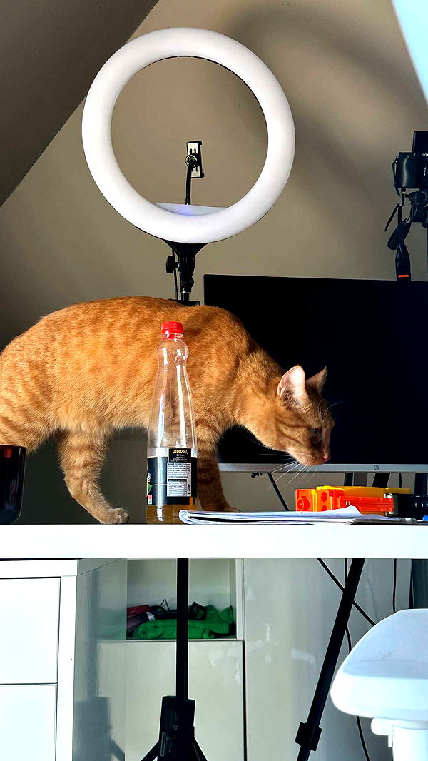 mira.0004 image ~ Altpins